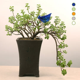 Bewässerungsgerät aus Glas