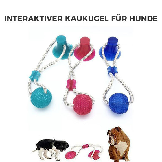 Multifunction Pet Molar Bite Toy