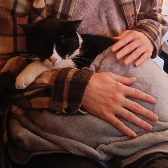 Hoppy Katze Schürze