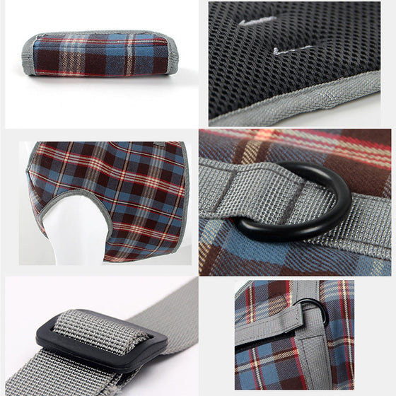 Orthopädischer Gurt für Hinterbeine