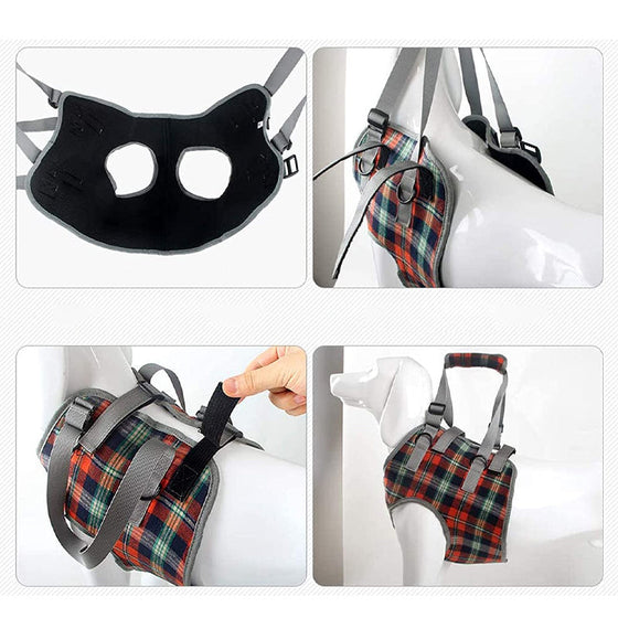 Orthopädischer Gurt für Hinterbeine