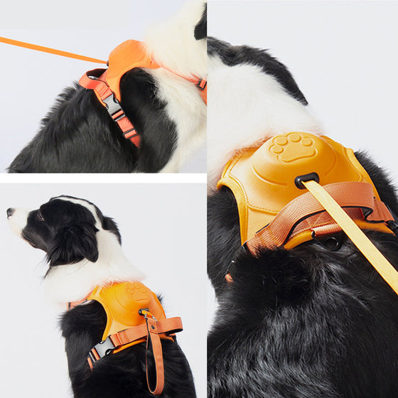 Geschirr mit integrierter Leine