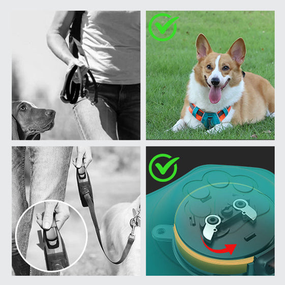 Geschirr mit integrierter Leine