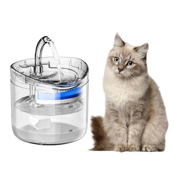 Trinkbrunnen für Katzen und Hunde