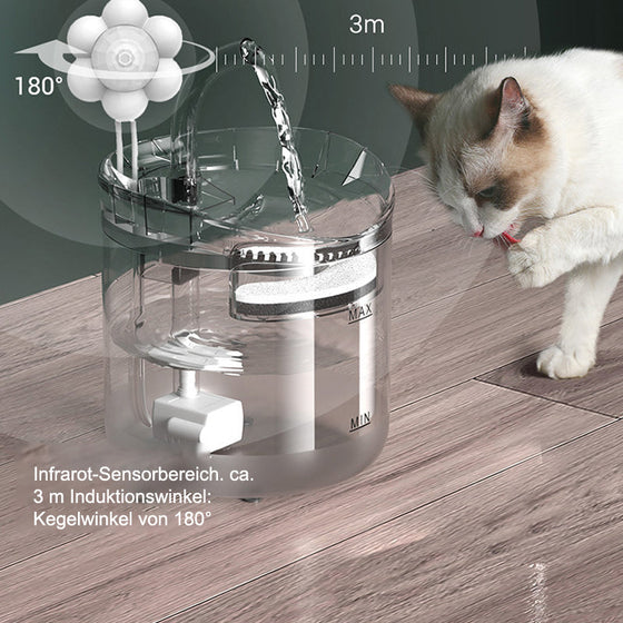 Trinkbrunnen für Katzen und Hunde