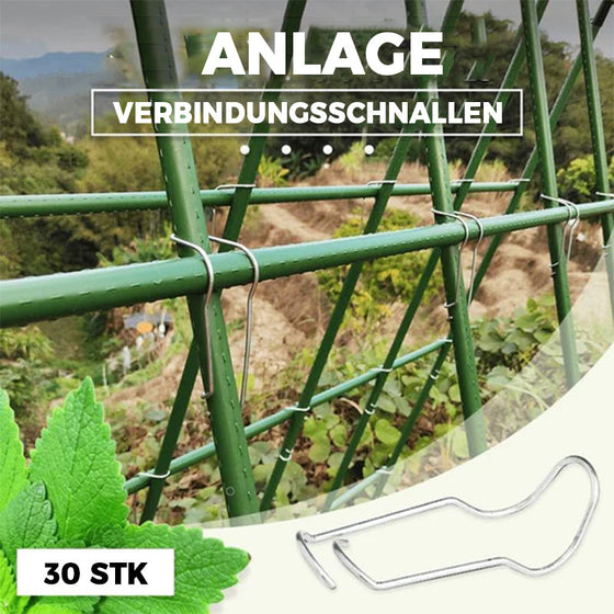 Pflanzenverbindungsschnallen