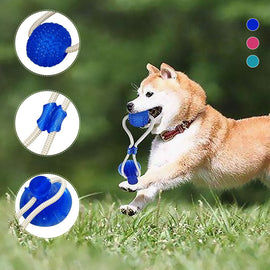Multifunction Pet Molar Bite Toy