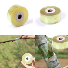 Professionelles Garten-Pfropfwerkzeug-Set