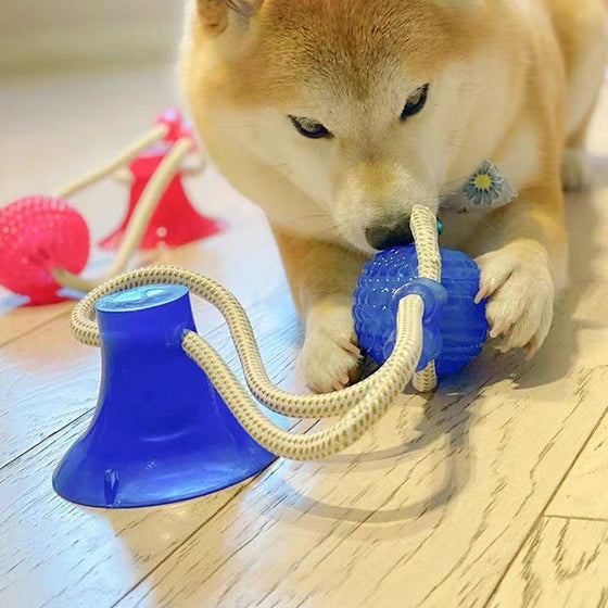 Multifunction Pet Molar Bite Toy