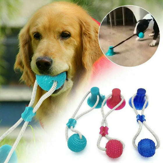 Multifunction Pet Molar Bite Toy
