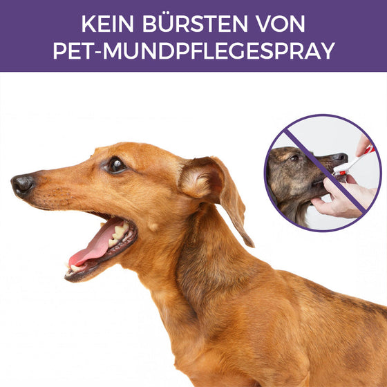 Hunde- und Katzenzahnreinigungsspray