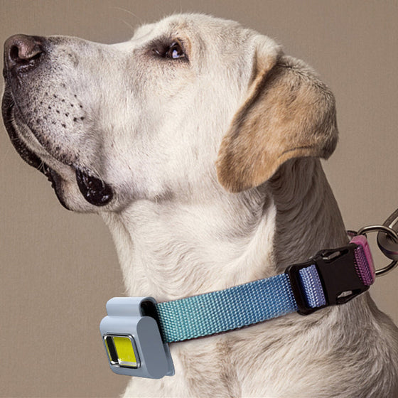 Multifunktionales Lauflicht mit magnetischer Aufladung