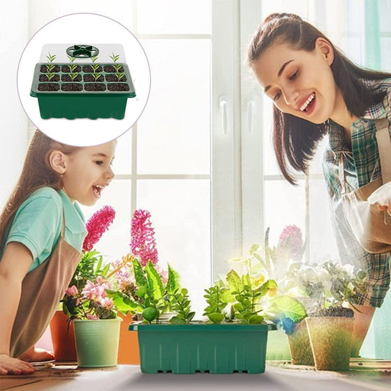 12-Loch-Setzlingsbox