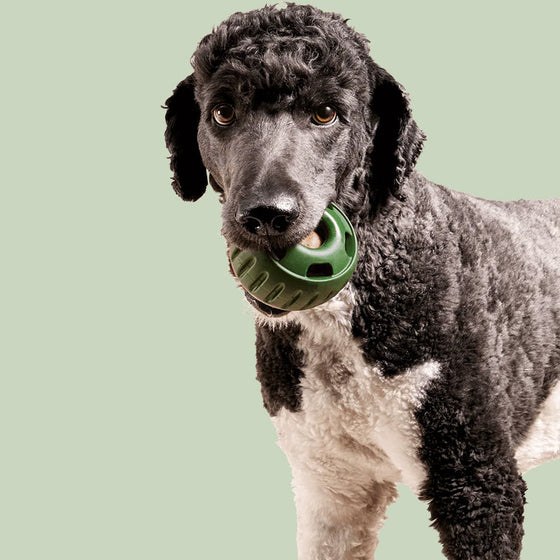 Ausstopfbares Slow-Food-Spielzeug für Hunde