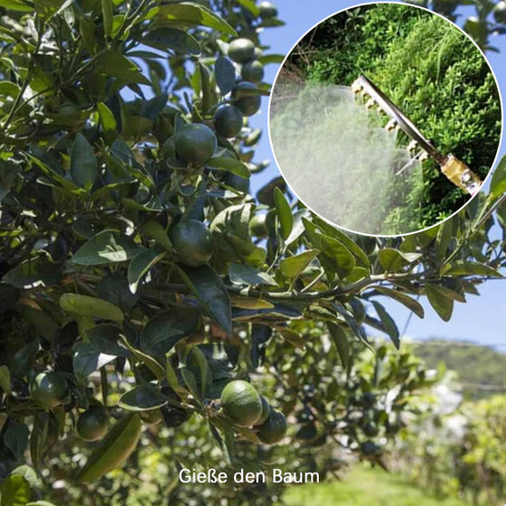 Landwirtschaftliche Ringförmige Poröse Düse