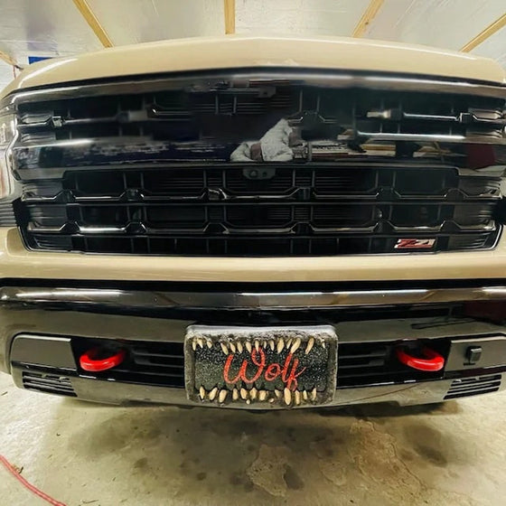 Lustige Nummernschilddekorationen