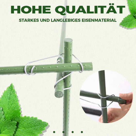 Pflanzenverbindungsschnallen