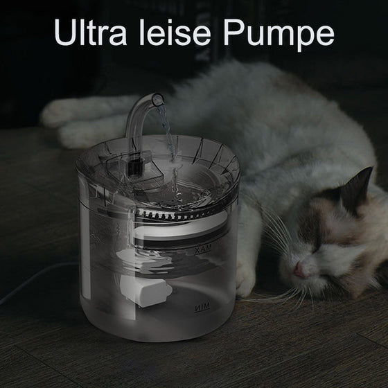 Trinkbrunnen für Katzen und Hunde