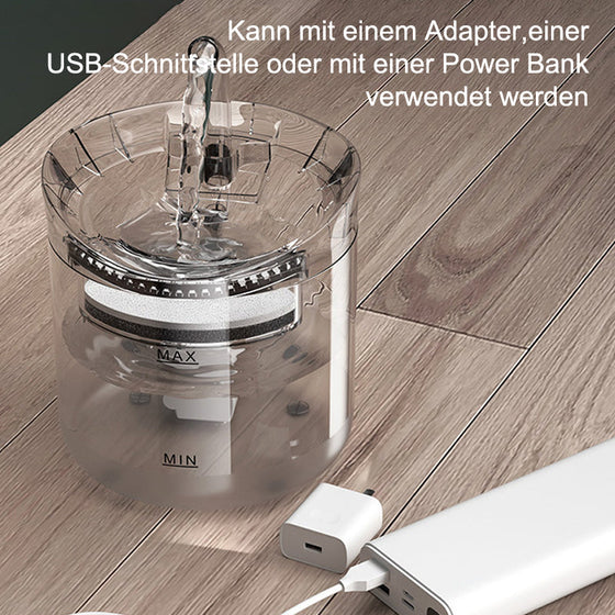 Trinkbrunnen für Katzen und Hunde