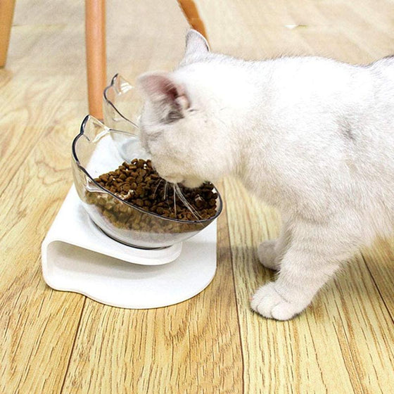 Anti-Erbrechen-Katzennapf