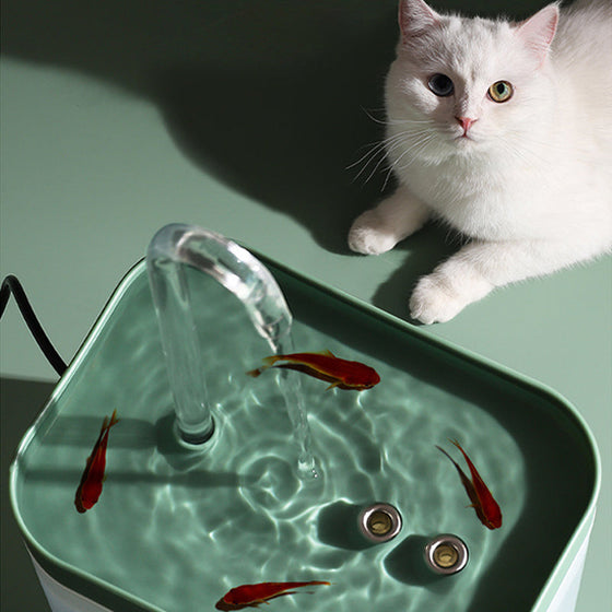 Automatischer Umlaufwasserspender für Haustiere