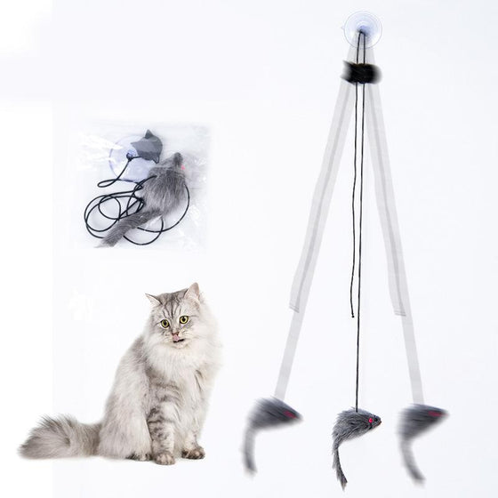 Hängendes Katzenspielzeug