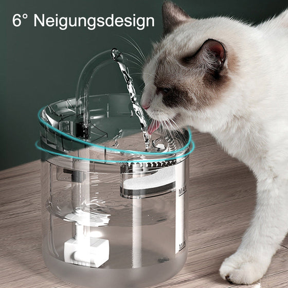 Trinkbrunnen für Katzen und Hunde