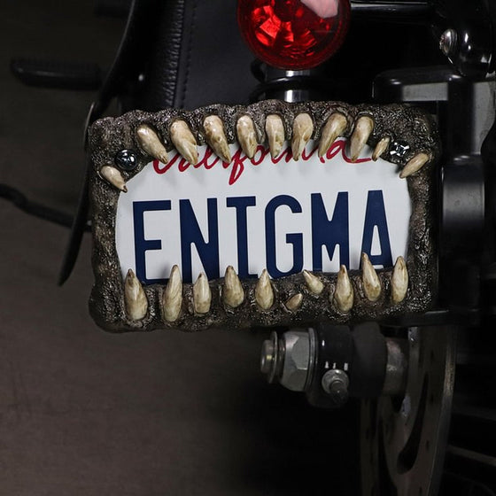 Lustige Nummernschilddekorationen