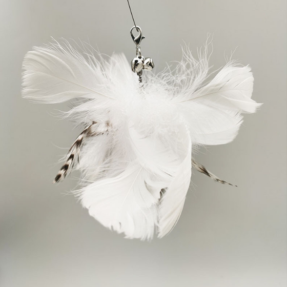 Kätzchen Zauberstab Spielzeug