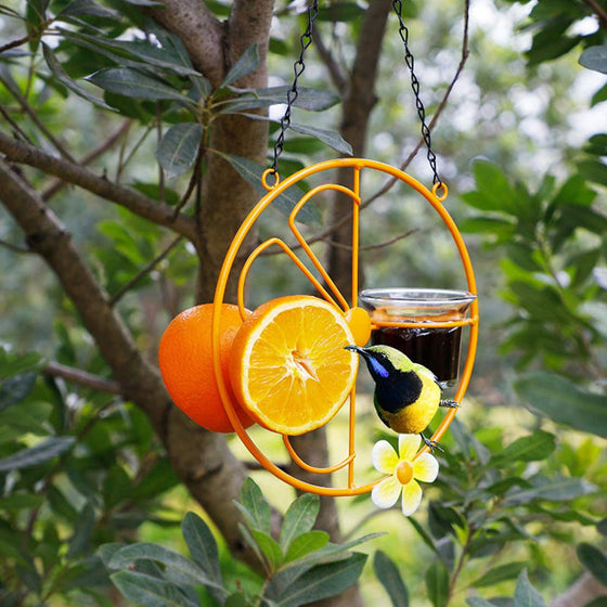 2-in-1-Vogelfutterspender zum Aufhängen