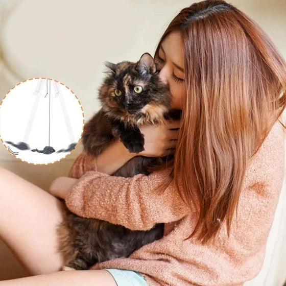 Hängendes Katzenspielzeug