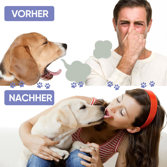 Hunde- und Katzenzahnreinigungsspray