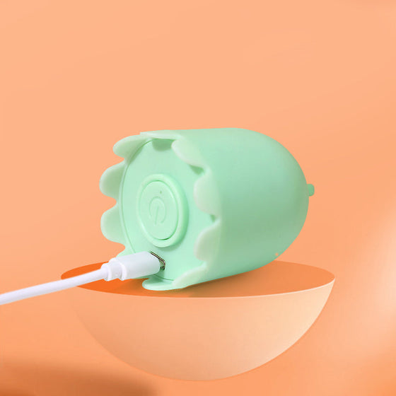 Katzenspielzeug für den Innenbereich