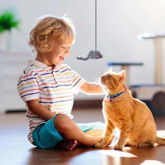 Hängendes Katzenspielzeug