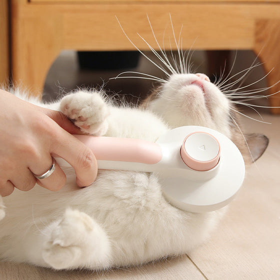 Selbstreinigende Haustierbürste