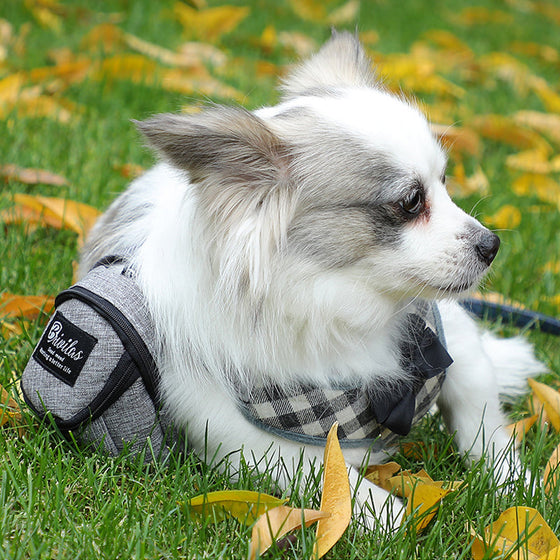 Aufbewahrungstasche für den Hundespaziergang