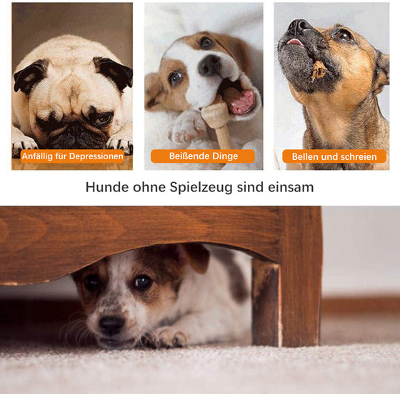 Dog Bite Toy Interaktives Leckerspielzeug mit Saugnapf