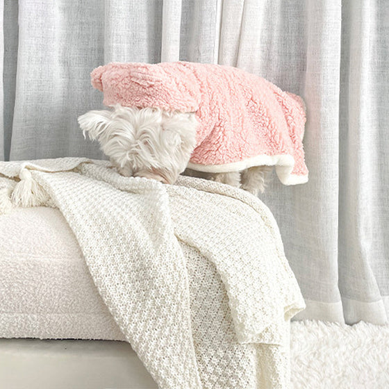 Robe-Decke für Haustiere