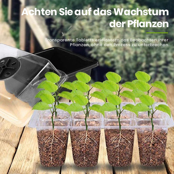 12-Loch-Setzlingsbox