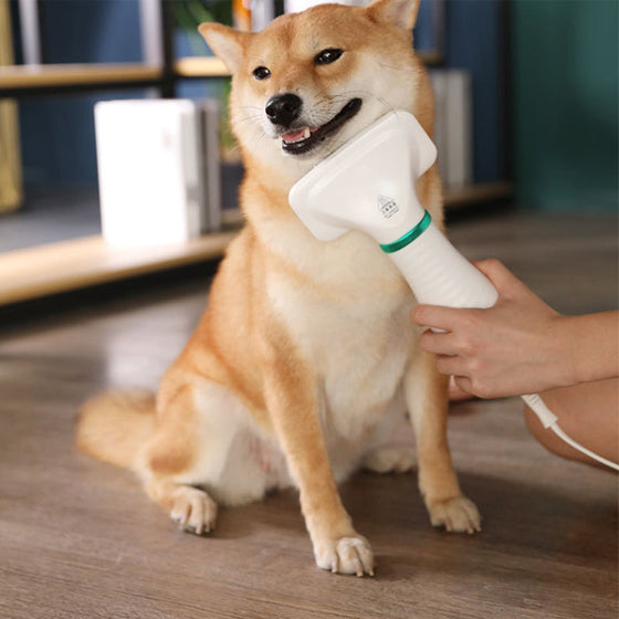 2-in-1-Hundetrockner