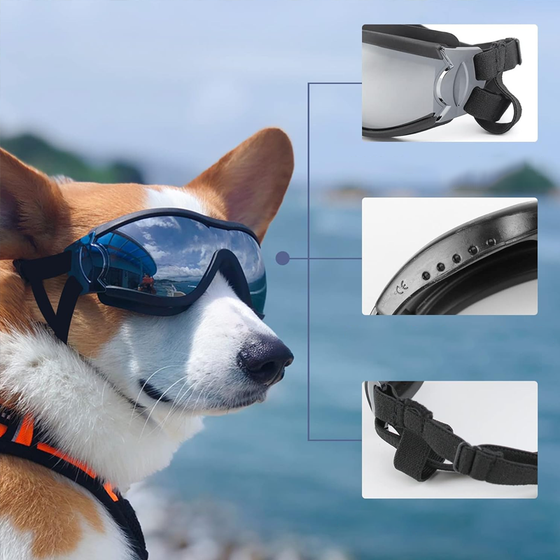 Outdoor-Hundebrille