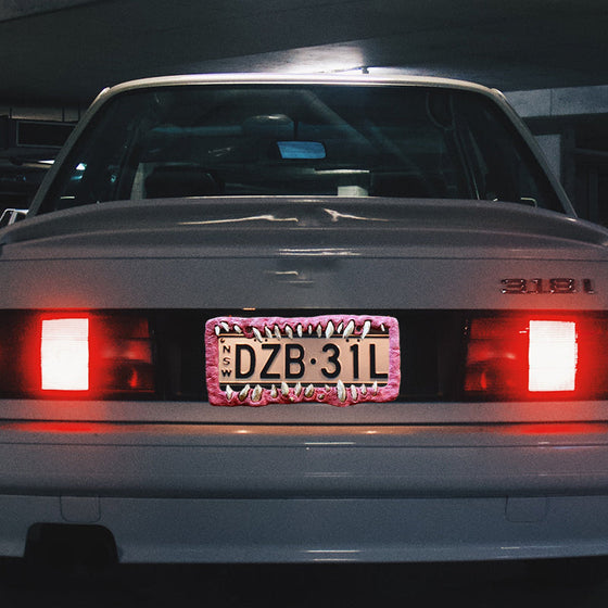 Lustige Nummernschilddekorationen