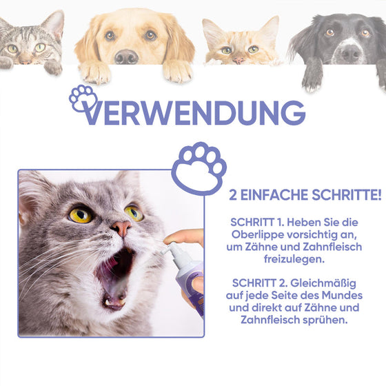 Hunde- und Katzenzahnreinigungsspray