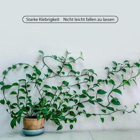 Pflanzenkletterwandclip
