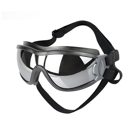 Outdoor-Hundebrille