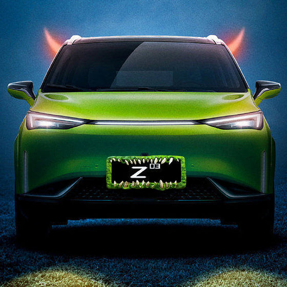 Lustige Nummernschilddekorationen