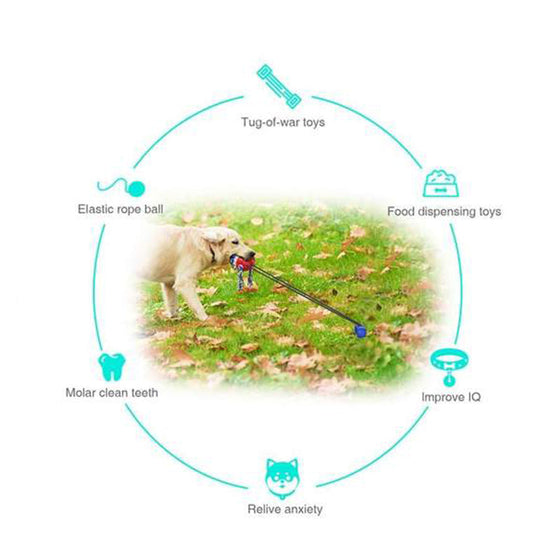 Seilball für Haustiere im Freien