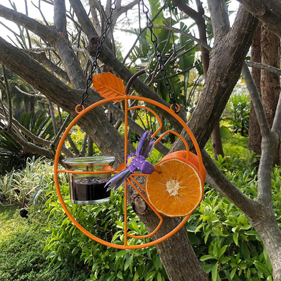 2-in-1-Vogelfutterspender zum Aufhängen