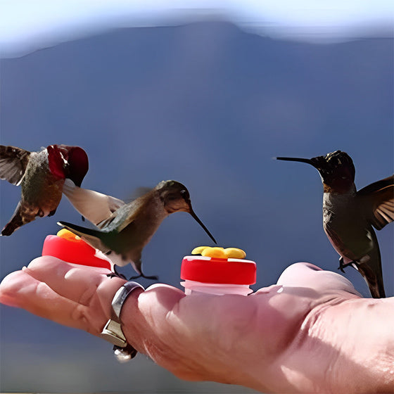 Flower Bar Kolibri-Feeder