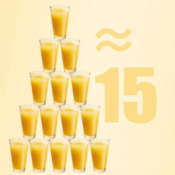 Tragbarer Mini-Entsafter für den Haushalt